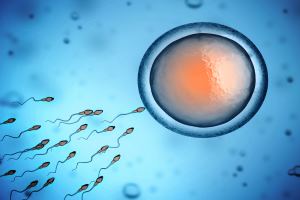 icsi versus IVF