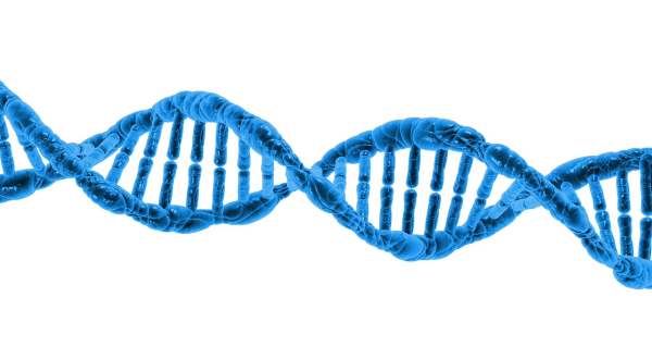 CHROMOSOME PGS