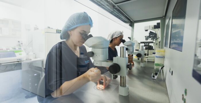 IVF laboratory at IREMA